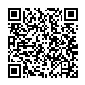 不过罗生王显然也是对自己和周围这些人非常有自信的二维码生成