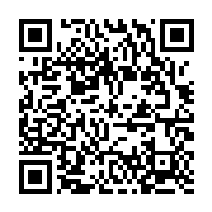 不过老子就看不惯这人模狗样的家伙泡我们的金经理二维码生成