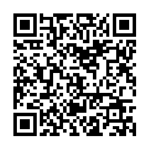 不过考虑到狗王的妖命之力成长到后期潜力之恐怖二维码生成