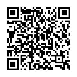 不过能从释无量那里得到一些有用的消息也不错二维码生成