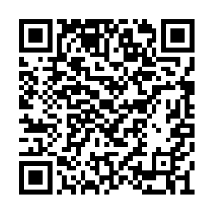 不过能够把雷暴和花青给逼成也算是虽败犹荣了二维码生成