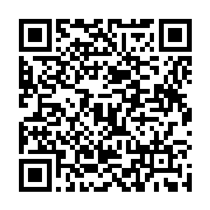 不过自己这边还真的就不好率先的就做出来所谓的举措二维码生成