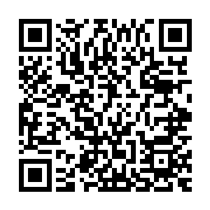 不过良好的教育还是没有让泰勒表现出来什么不满的神情出来二维码生成