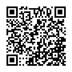 不过苏凡和卡奴基斯两人却是拳对拳谁都没有退让一步二维码生成
