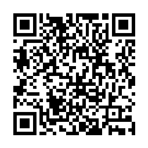 不过苏凡的一双鹰眼却紧紧的盯着对面酒店的某个房间二维码生成