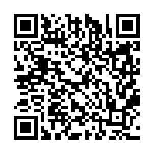 不过苏凡相信若是教皇真的想要对着龙王下手的话二维码生成