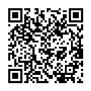 不过苏凡还有这名男子却是都没有就此罢手的意思二维码生成