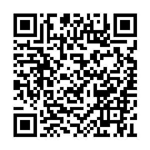 不过苏江还是把目光放置到了自己外甥的身上面二维码生成