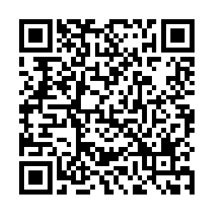 不过苏落现在一心只想要采到蛇蝎莽毒草来救治傻大姐二维码生成