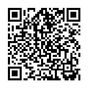 不过苏落这火球也不过是给紫妍争取时间的幌子二维码生成