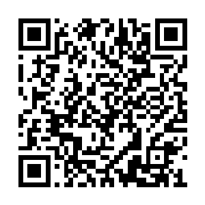 不过若是给小瓶子中的灵液给三只灵虫服用的话二维码生成