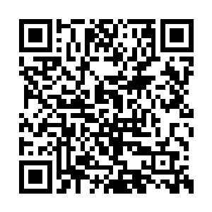 不过蓝洛凤的话让凌霄暂时放下对李蘭枫的芥蒂二维码生成