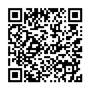 不过表面上仍然好好的谈笑着陪着萧摇在学院里逛了一圈二维码生成