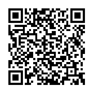 不过被掩灵阵遮盖的七彩瘴气依旧源源不断深入二维码生成