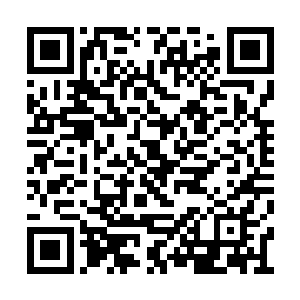 不过要想维持这一道封印也要庞大的能量來支撑二维码生成