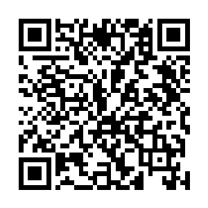 不过要说他对蓝岛市委书记这个位置不感兴趣那也是假话二维码生成