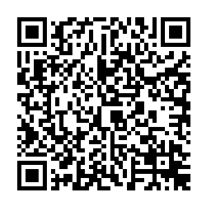不过见林烽和所有的赌石人一样在这里敲敲打打一副我也是寻找好东西的样子二维码生成