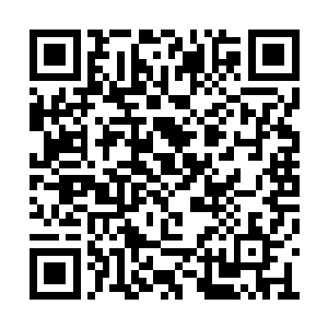 不过观察了许久金在珉还是看不出一个所以然来二维码生成
