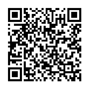 不过话中的意思还是对莫咏欣能否找到龙晶液不报希望二维码生成