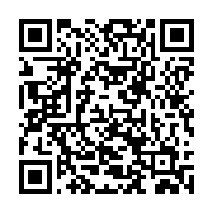 不过语气里确实不大满意苏文这个文坛新丁的言辞二维码生成