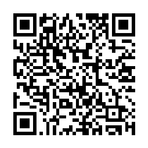 不过说实话本来lspl的队伍毕竟不是都像lh战队这种怪胎二维码生成