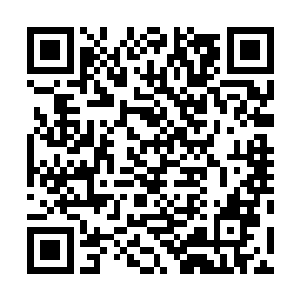 不过貌美的魔修并不介意用身体作为筹码换回保命的机会二维码生成