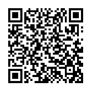 不过贝海看他看了这么多年就算是这小子藏在阴沟里二维码生成