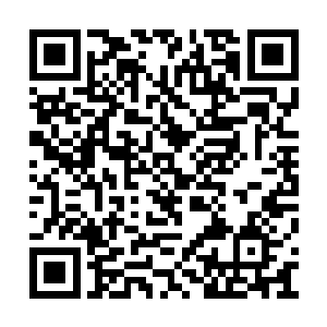 不过跟厂房内的设备相比这些投入又是小儿科了二维码生成