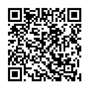 不过跟奏折几乎同一时间流传出来的还有朱平安一个作品二维码生成