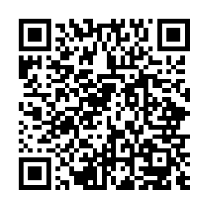 不过身上所受的伤势却在圣器力量的帮助下恢复如初了二维码生成