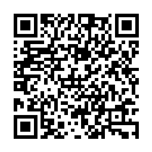 不过还不知道池佳一出处的她并没有立刻就下杀手二维码生成