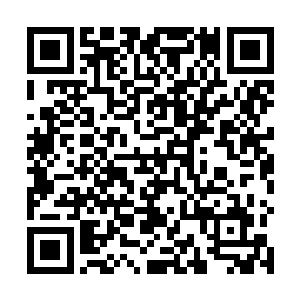 不过还不知道这批羽箭的设计是否如之前所预想的那样二维码生成