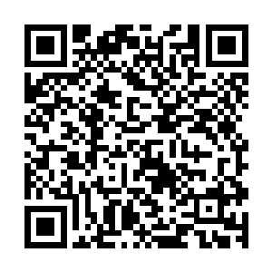 不过还是客气的冲起身朝他们走过来的司空青御行了个注目礼二维码生成