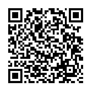 不过还是看的出来这条腿掉落的原因不是走着走着自己脱落的二维码生成