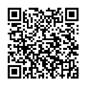 不过还是能够看到不时的有成群的海鱼从一旁经过二维码生成