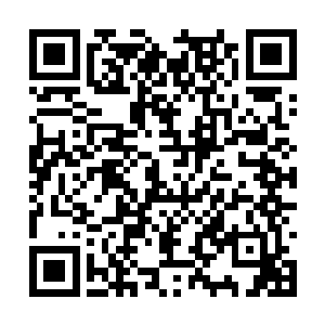 不过还没等汤米曼加诺来得及细想为什么没人开门二维码生成