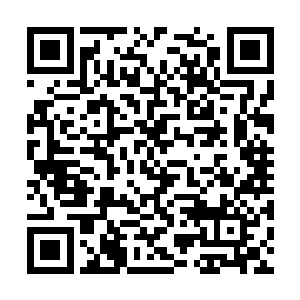 不过这一个眨眼的功夫已经足够他们把人都救走了二维码生成