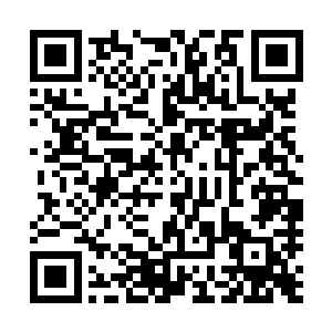 不过这一切怒骂和愤怒似乎都没有让生命之树有任何的反应二维码生成