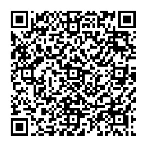 不过这一晚对于某位研究生还有他的卫生厅厅长父亲却注定是一个充满后悔甚至近乎惊魂的晚上二维码生成