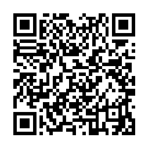 不过这一次她们没有和往常一样发现金在珉的身影二维码生成
