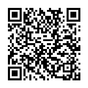 不过这不妨碍江姨娘时不时要在萧氏面前蹦达几下二维码生成