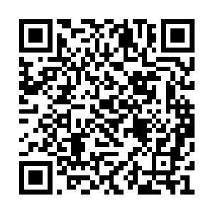 不过这个世上也只有凤君曜一人才会觉得她可爱二维码生成