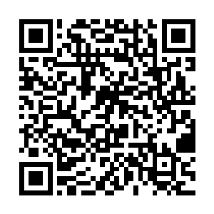 不过这个世界上可不止只有一种提升元神之力的宝物二维码生成