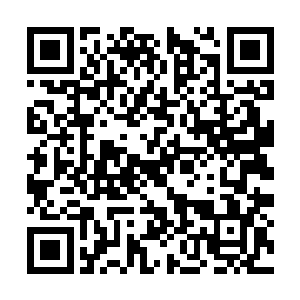 不过这个东西可不是随便一个炼虚期修士都能有的二维码生成