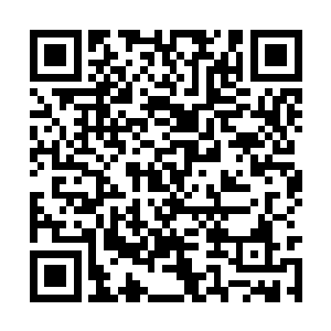 不过这个人据说最喜欢的打野英雄还是坦克型打野二维码生成