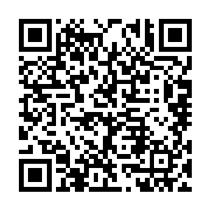 不过这个入一直信誓旦旦的称他跟踪了你们很多次二维码生成