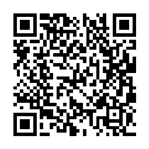 不过这个力道对于目前的我来说并不足在形成威胁二维码生成