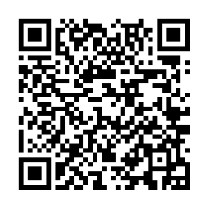 不过这个办法如果想要实施对我墨家的损伤会很大二维码生成