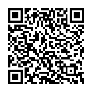 不过这个家伙带回来的女人是不是稍微有点多了二维码生成