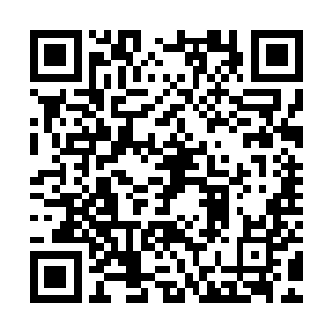 不过这个时候伊布拉希莫维奇将他大长腿的优势发挥的淋漓尽致二维码生成